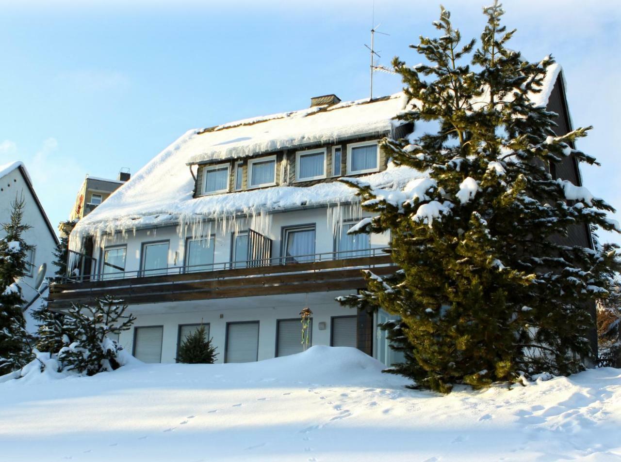 Komfort-Fewo Ettelsberg-Panorama Виллинген Номер фото